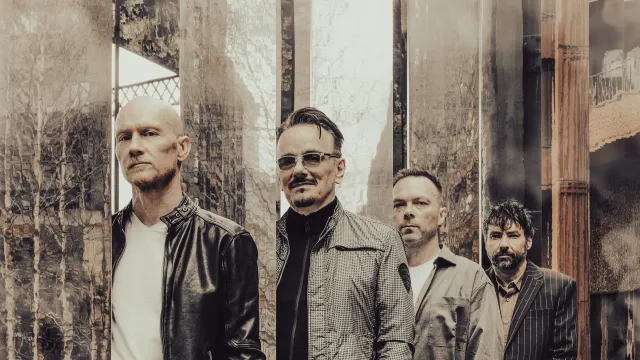 The Pineapple Thief