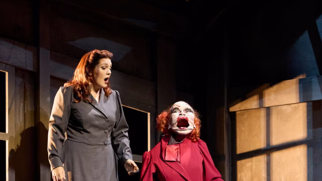 Der Besuch der alten Dame
